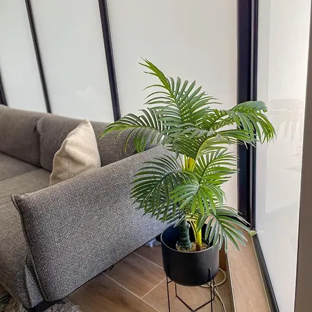 Apartment Modern 3 Bedroom Townhouse With Patio Paphos